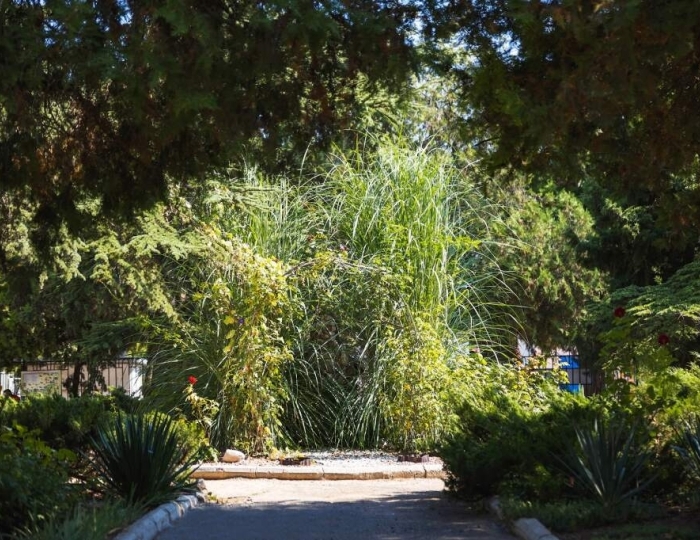 Санаторий «Прибой» Евпатория